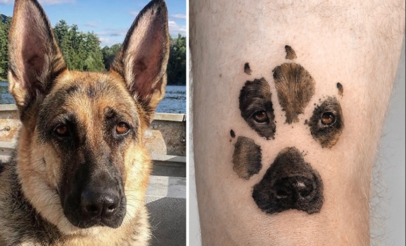 11 tatuajes que sus dueños apreciarán para siempre ya que presentan retratos realistas de sus mascotas 11 tatuajes que sus dueños apreciarán para siempre ya que presentan retratos realistas de sus mascotas