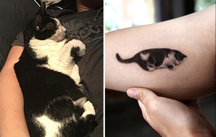 11 tatuajes que sus dueños apreciarán para siempre ya que presentan retratos realistas de sus mascotas 11 tatuajes que sus dueños apreciarán para siempre ya que presentan retratos realistas de sus mascotas