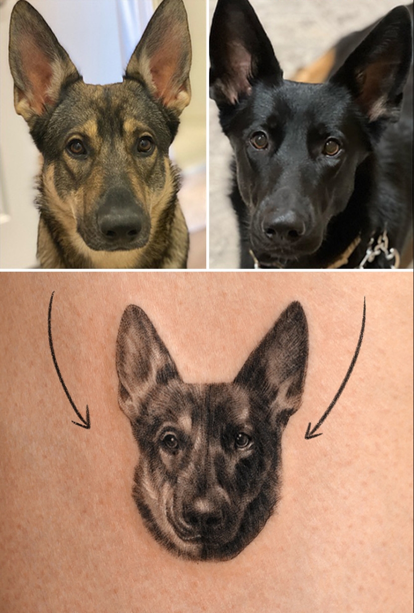 11 tatuajes que sus dueños apreciarán para siempre ya que presentan retratos realistas de sus mascotas 11 tatuajes que sus dueños apreciarán para siempre ya que presentan retratos realistas de sus mascotas