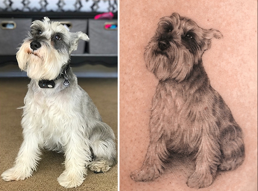 11 tatuajes que sus dueños apreciarán para siempre ya que presentan retratos realistas de sus mascotas 11 tatuajes que sus dueños apreciarán para siempre ya que presentan retratos realistas de sus mascotas