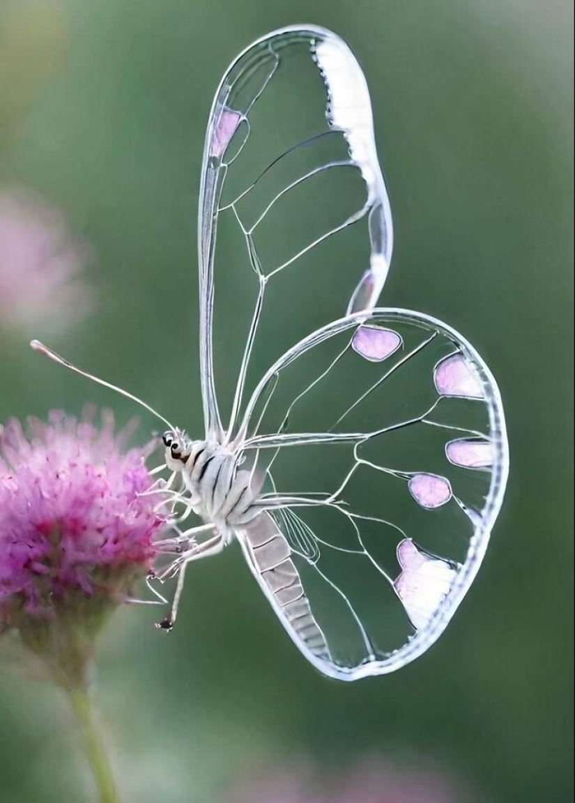 11 Unsettling Images To Leave You With That Eerie Feeling