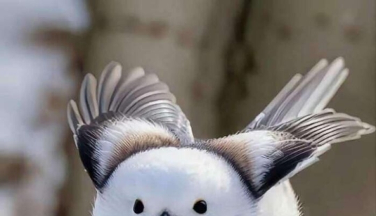 11 Unsettling Images To Leave You With That Eerie Feeling