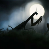 11 Winners Of The World Nature Photography Awards 2024