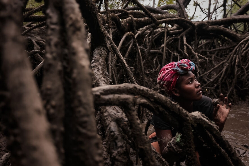 12 Eye-Opening Winning Images Of The 2024 Mangrove Photography Awards