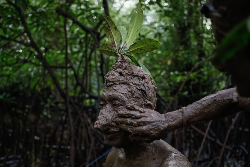 12 Eye-Opening Winning Images Of The 2024 Mangrove Photography Awards