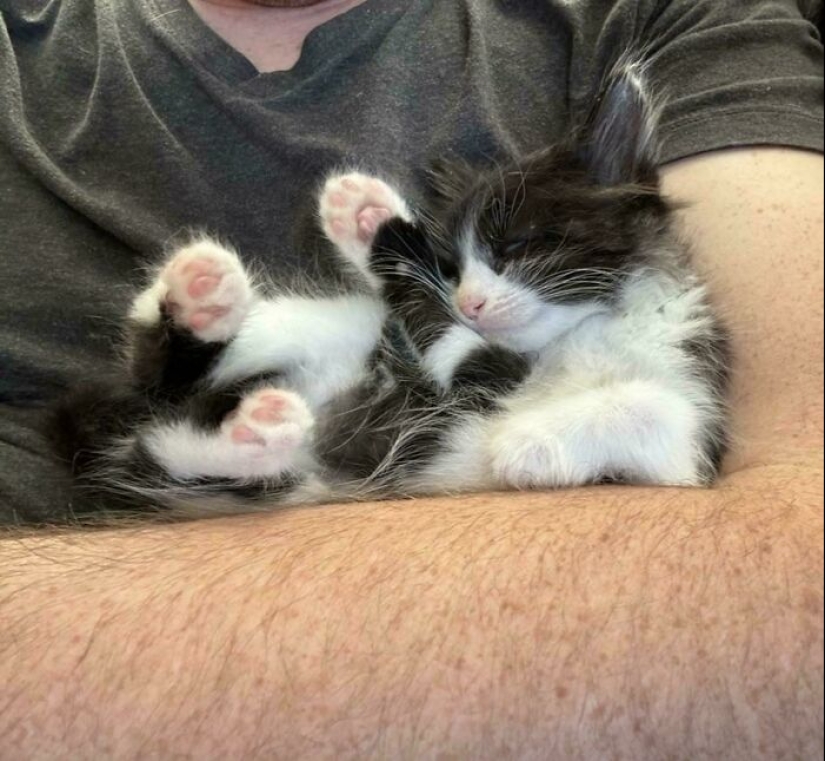 12 fotografías saludables de mascotas adoptadas que nunca más tendrán que estar solas