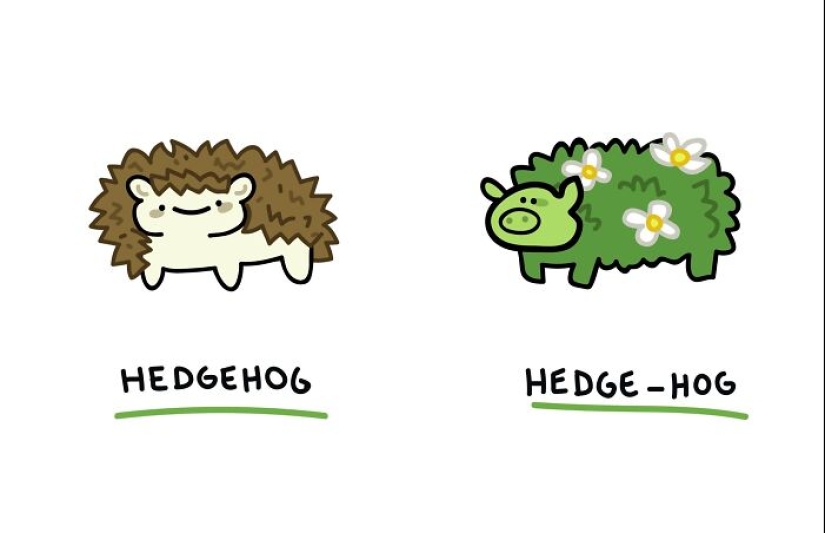 12 ilustraciones que resaltan las divertidas diferencias entre palabras que creé 12 ilustraciones que resaltan las divertidas diferencias entre palabras que creé