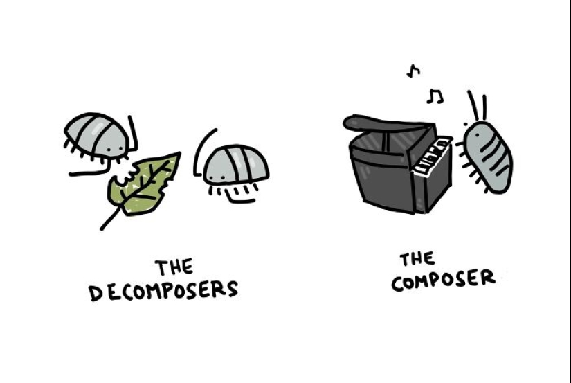 12 ilustraciones que resaltan las divertidas diferencias entre palabras que creé 12 ilustraciones que resaltan las divertidas diferencias entre palabras que creé