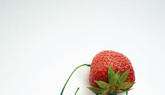 12 ilustraciones cautivadoras y divertidas creadas a partir de objetos cotidianos por Christoph Niemann