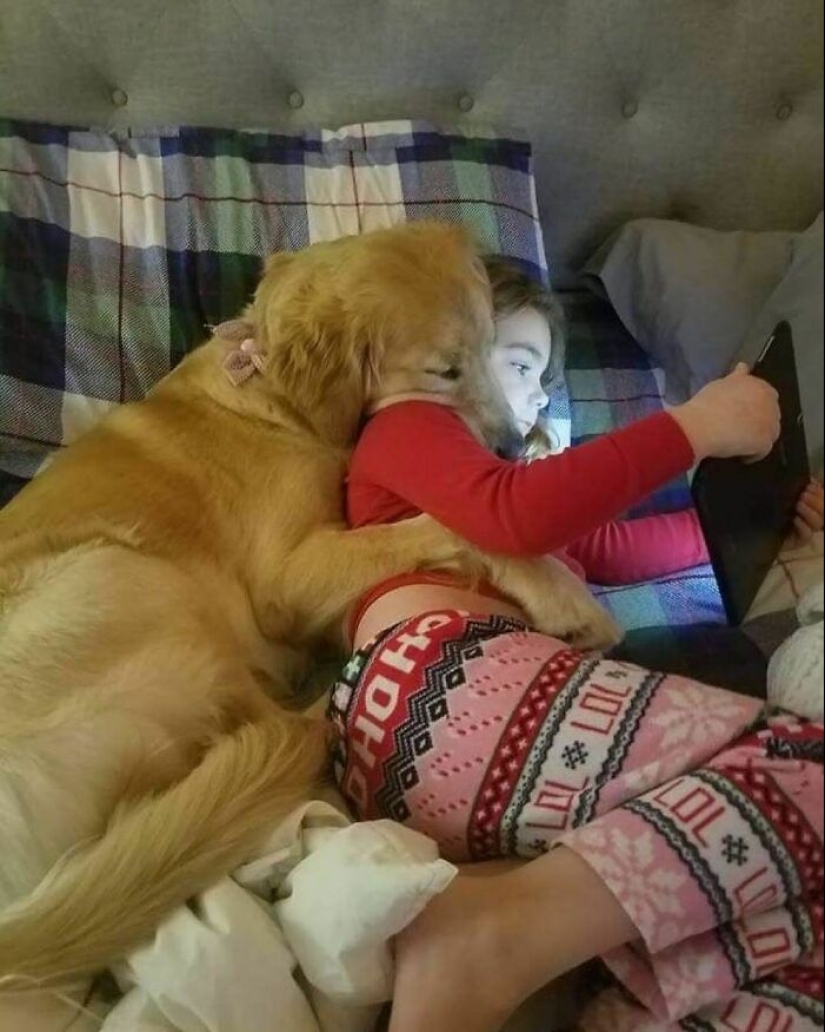 12 imágenes de mascotas siendo increíblemente tontas para hacerte reír