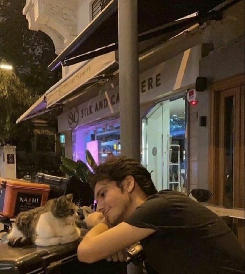 12 Pictures Of Pets Being Incredibly Silly To Make You Laugh