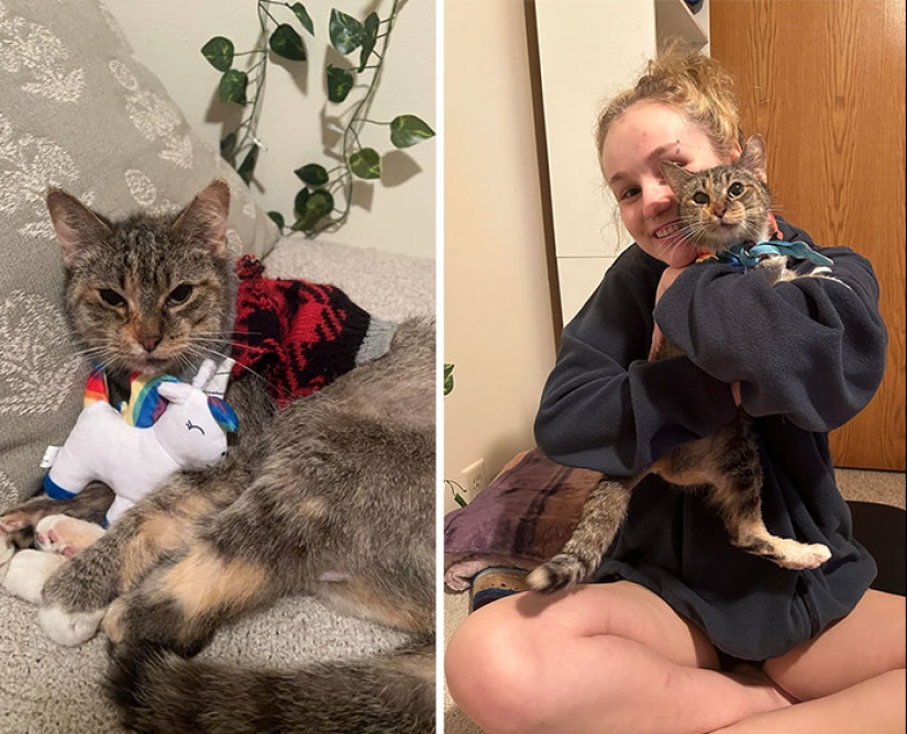 12 Wholesome Pics Of Adopted Pets That Will Never Have To Be Alone Again