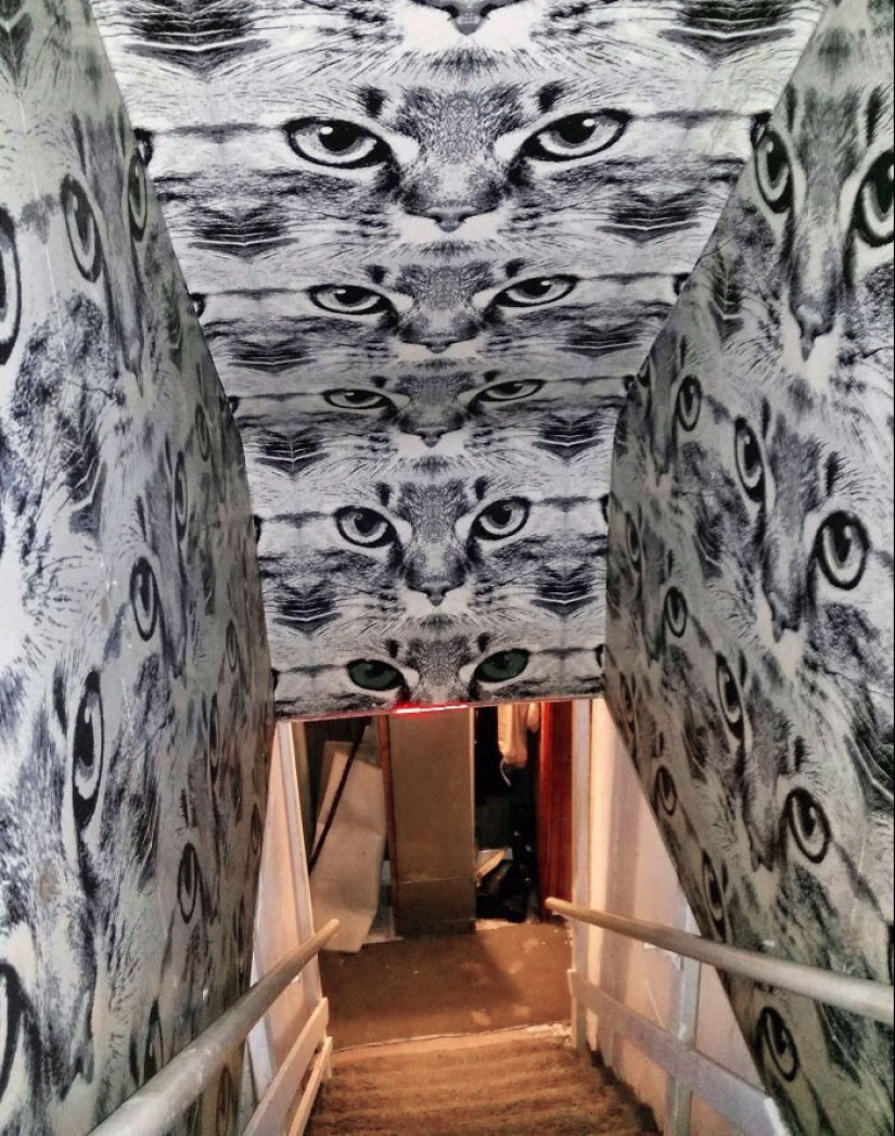 13 Creepy Basements That Were So Horrifying, Homeowners Just Had To Share