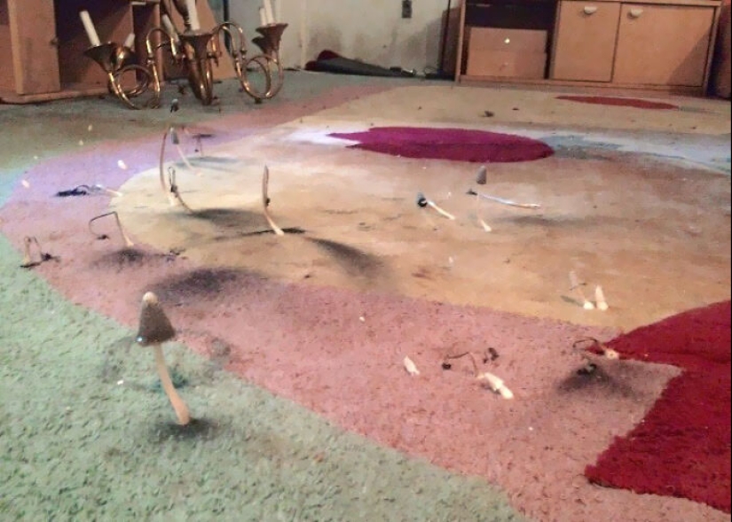 13 Creepy Basements That Were So Horrifying, Homeowners Just Had To Share