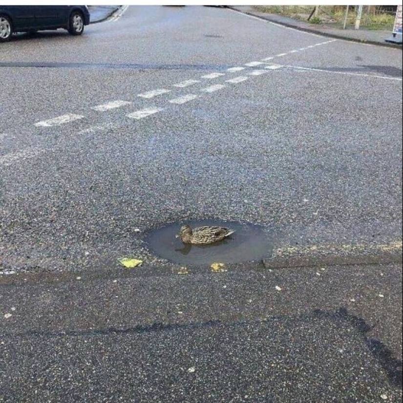 13 Cursed Images That Get Weirder The More You Scroll, As Shared On This Instagram Account 13 Cursed Images That Get Weirder The More You Scroll, As Shared On This Instagram Account