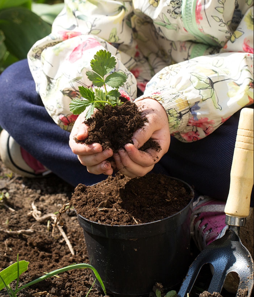13 formas económicas y gratuitas de mantenerse en forma sin ser miembro de un gimnasio