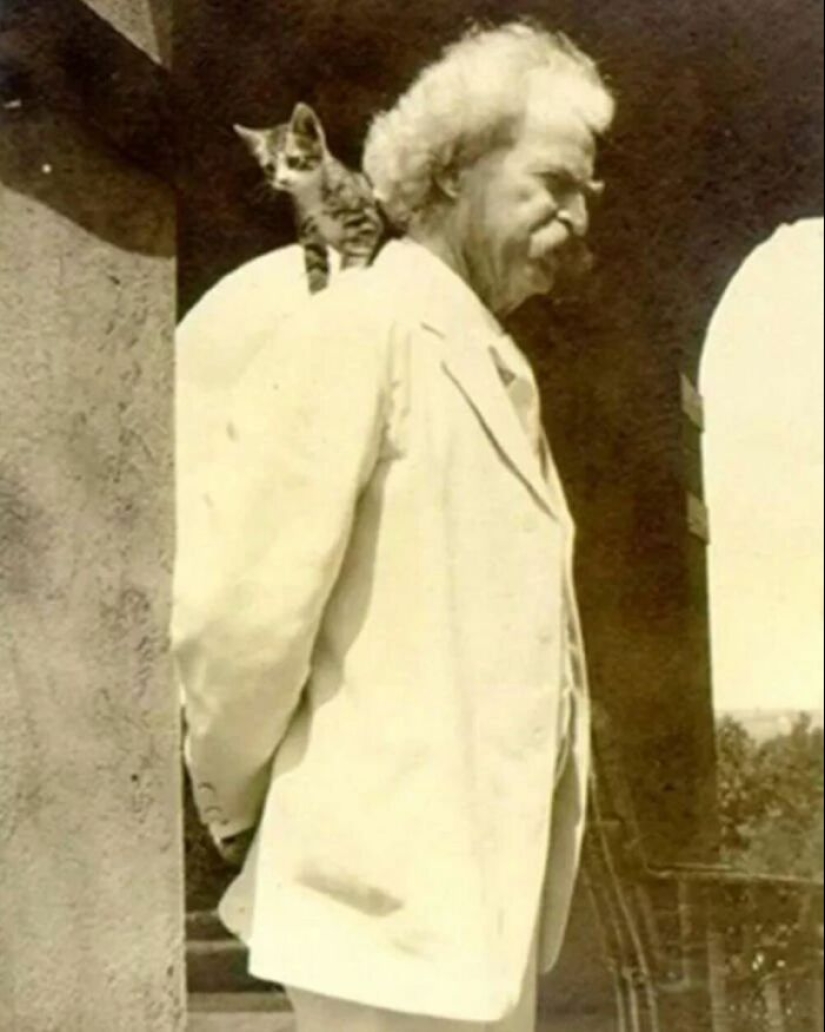 13 fotografías antiguas de gatos que demuestran que nada ha cambiado en décadas, recopiladas por este periodista