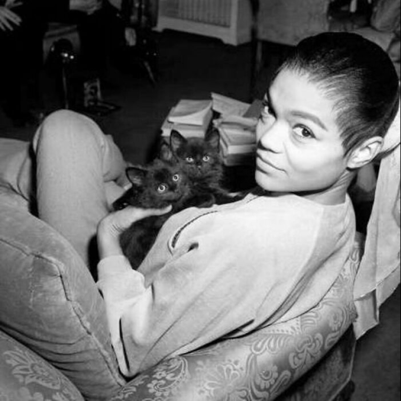 13 fotografías antiguas de gatos que demuestran que nada ha cambiado en décadas, recopiladas por este periodista