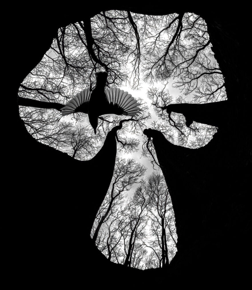 13 fotografías ganadoras de los premios Fotógrafo de primeros planos del año 2023