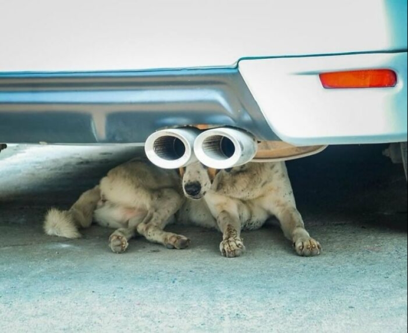 13 fotos callejeras sumamente divertidas compartidas en esta página de Instagram 13 fotos callejeras sumamente divertidas compartidas en esta página de Instagram