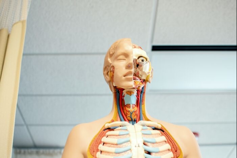 13 hechos que podrían enseñarle a mucha gente algo nuevo 13 hechos que podrían enseñarle a mucha gente algo nuevo