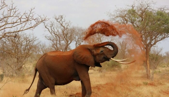 13 hechos que podrían enseñarle a mucha gente algo nuevo 13 hechos que podrían enseñarle a mucha gente algo nuevo