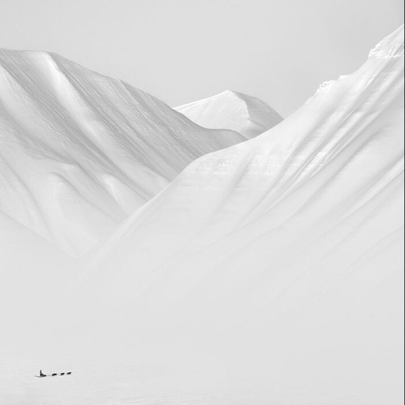 13 imágenes premiadas en los premios Tokyo International Foto Awards 2024