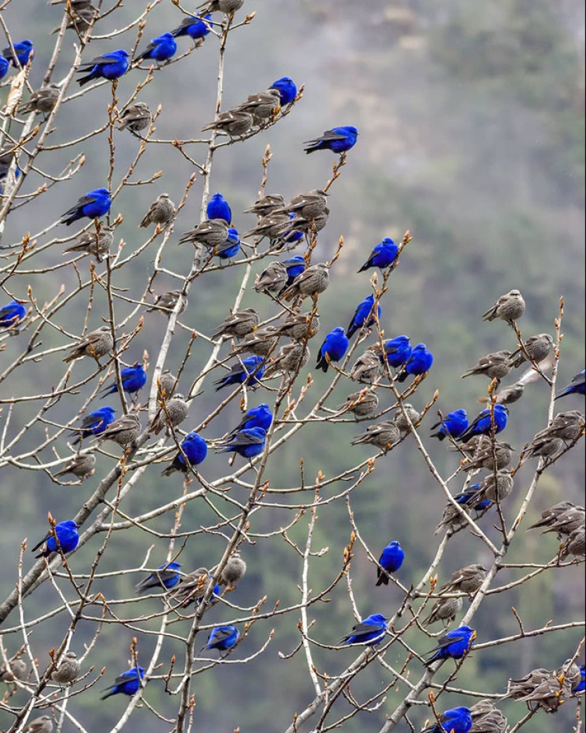 14 Curious Pictures Of Things People Don’t Get To See Often