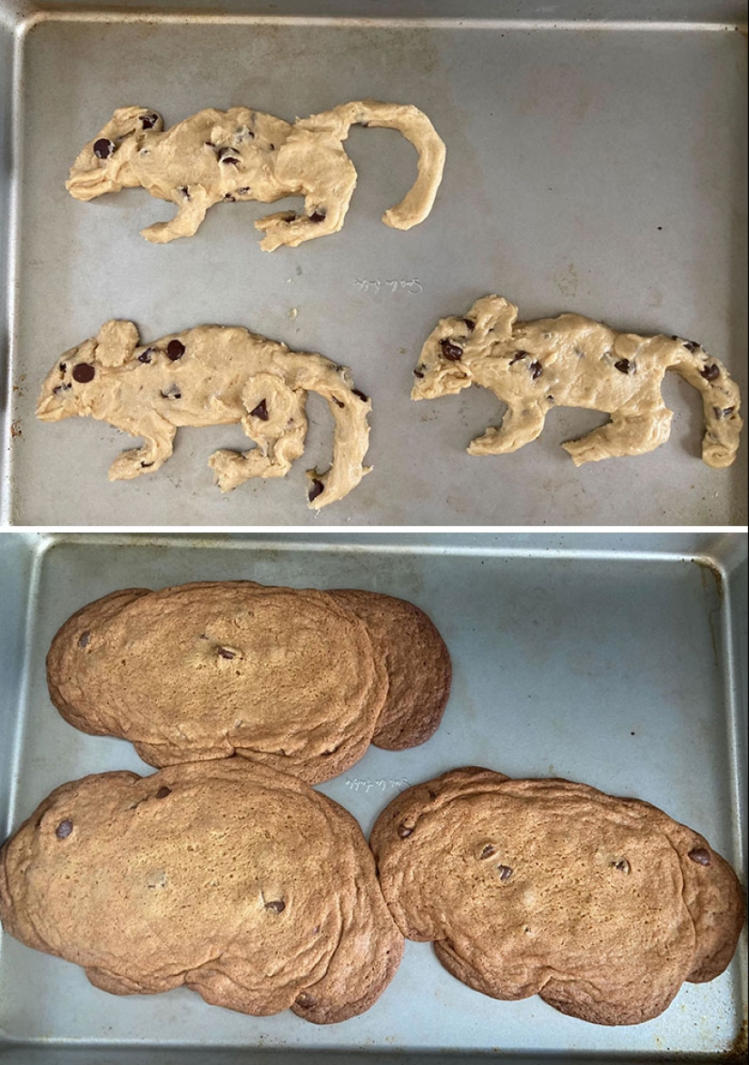 14 de los accidentes y fallos en la cocina más divertidos