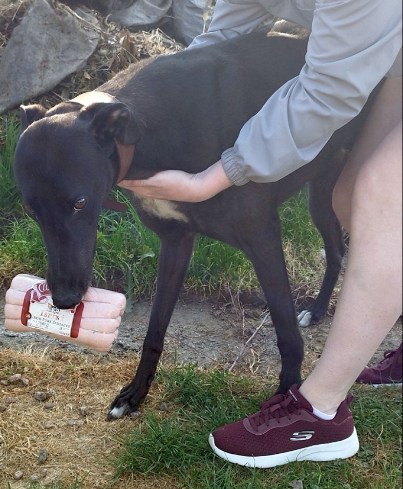 14 de los accidentes y fallos en la cocina más divertidos