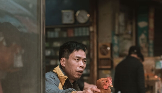 14 fotografías que tomé para mostrar el lado auténtico de un mercado de agricultores en China