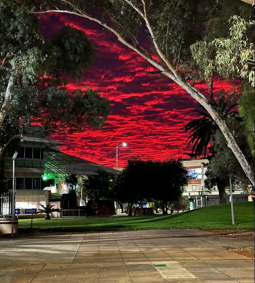 14 imágenes curiosas de cosas que la gente no ve a menudo