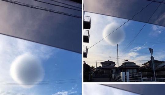 14 imágenes curiosas de cosas que la gente no ve a menudo