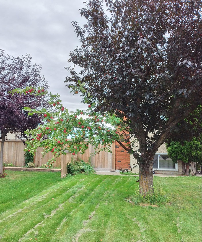 14 imágenes curiosas de cosas que la gente no ve a menudo