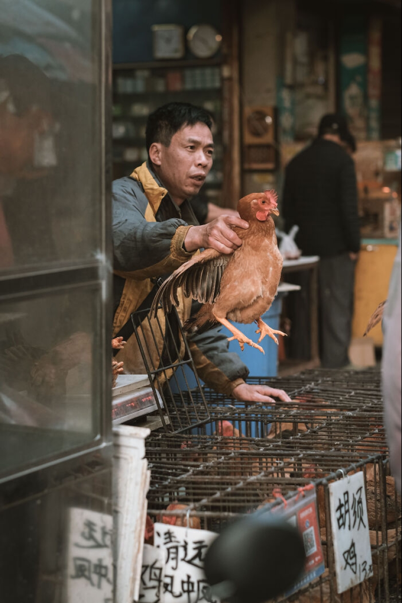 14 Photos I Took To Show The Authentic Side Of A Farmers’ Market In China