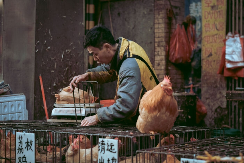 14 Photos I Took To Show The Authentic Side Of A Farmers’ Market In China