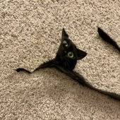 14 Times People Tried To Take Panoramic Pics But Captured Glitches In The Matrix Instead