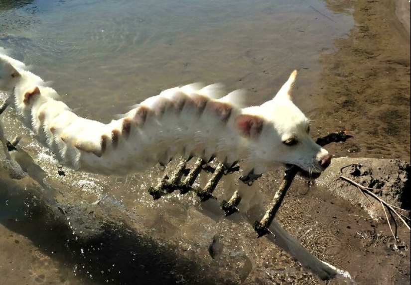 14 Times People Tried To Take Panoramic Pics But Captured Glitches In The Matrix Instead