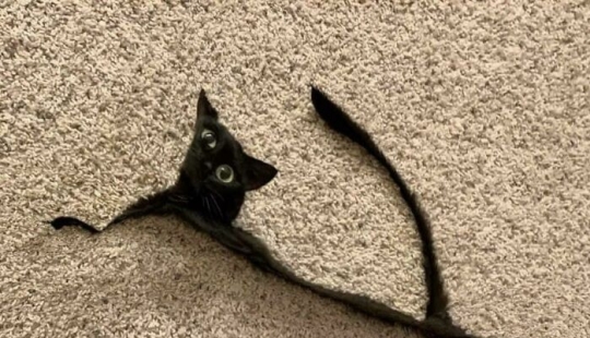 14 Times People Tried To Take Panoramic Pics But Captured Glitches In The Matrix Instead