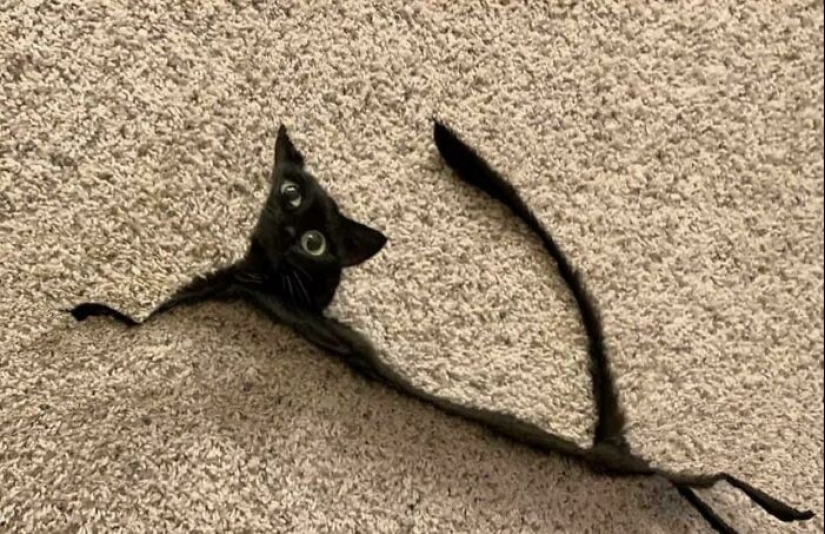 14 Times People Tried To Take Panoramic Pics But Captured Glitches In The Matrix Instead