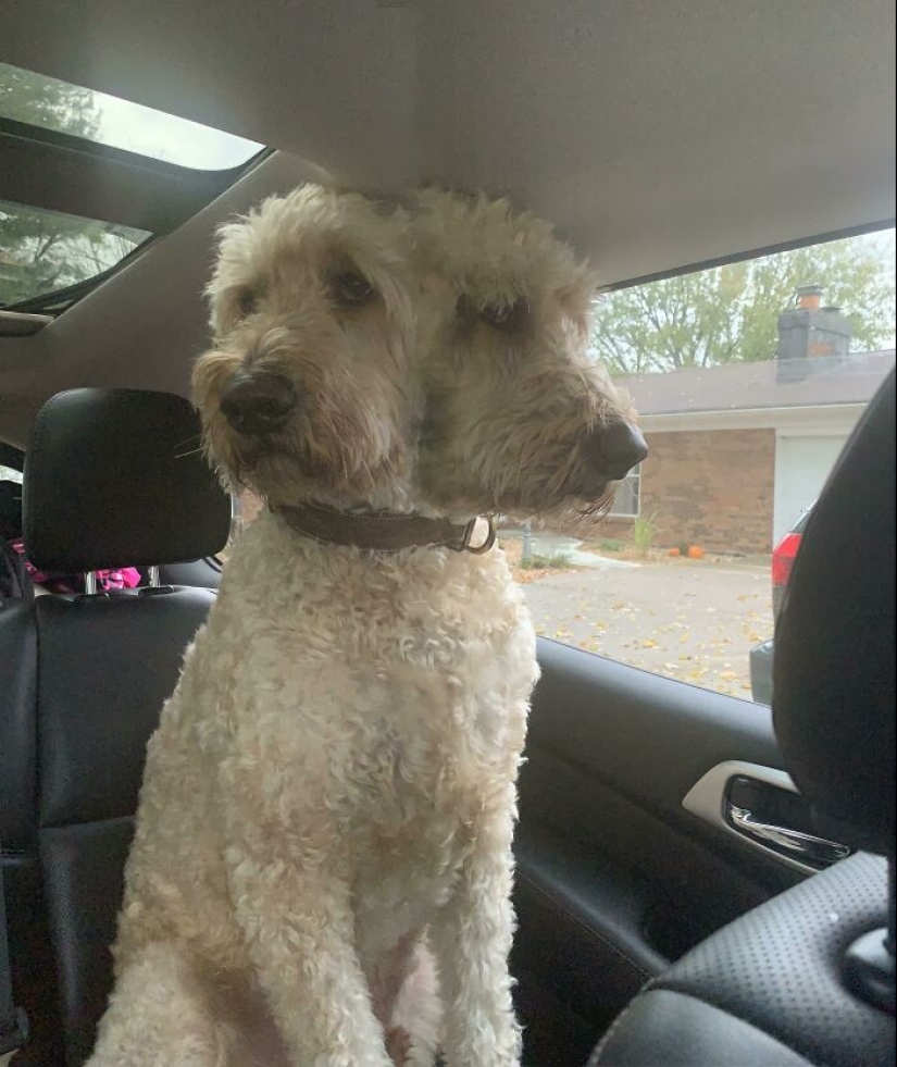 14 Times People Tried To Take Panoramic Pics But Captured Glitches In The Matrix Instead