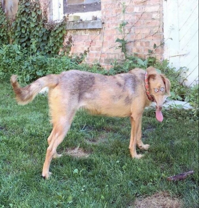 14 veces que la gente intentó tomar fotografías panorámicas, pero en su lugar capturaron fallas en Matrix