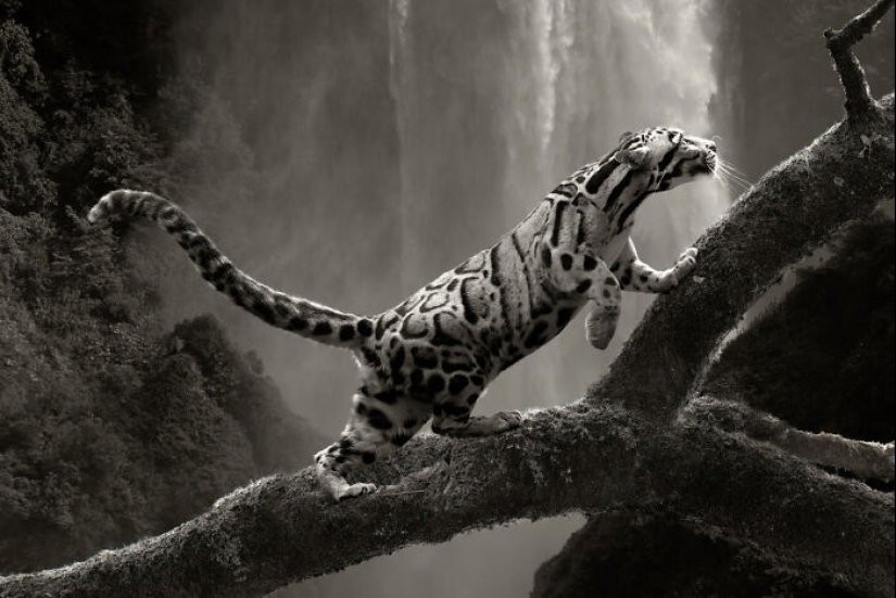 15 Breathtaking Creative Photo Awards Nominees Announced By SIPA 2024