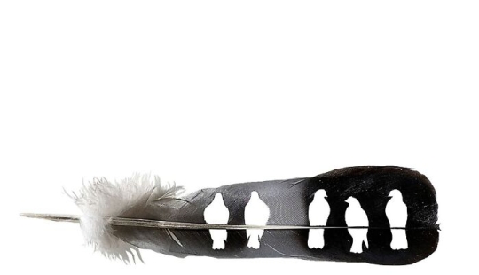 15 delicadas obras de arte hechas con plumas talladas por este artista