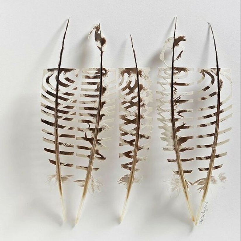 15 Delicate Artworks Made From Hard-Carving Feathers By This Artist 15 Delicate Artworks Made From Hard-Carving Feathers By This Artist