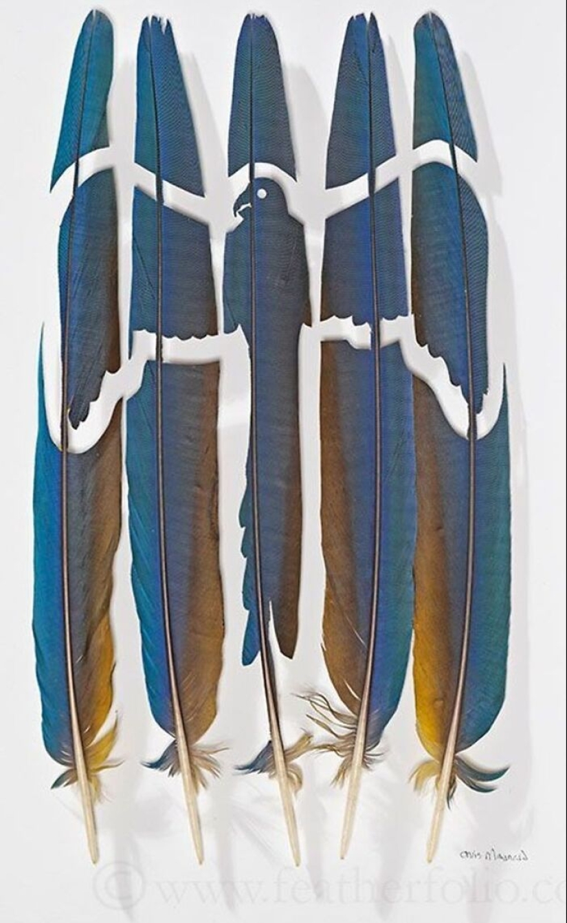 15 Delicate Artworks Made From Hard-Carving Feathers By This Artist 15 Delicate Artworks Made From Hard-Carving Feathers By This Artist