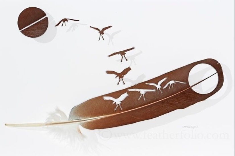 15 Delicate Artworks Made From Hard-Carving Feathers By This Artist 15 Delicate Artworks Made From Hard-Carving Feathers By This Artist