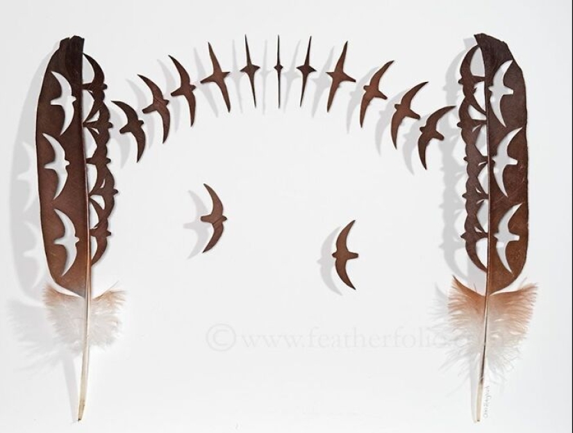 15 Delicate Artworks Made From Hard-Carving Feathers By This Artist 15 Delicate Artworks Made From Hard-Carving Feathers By This Artist