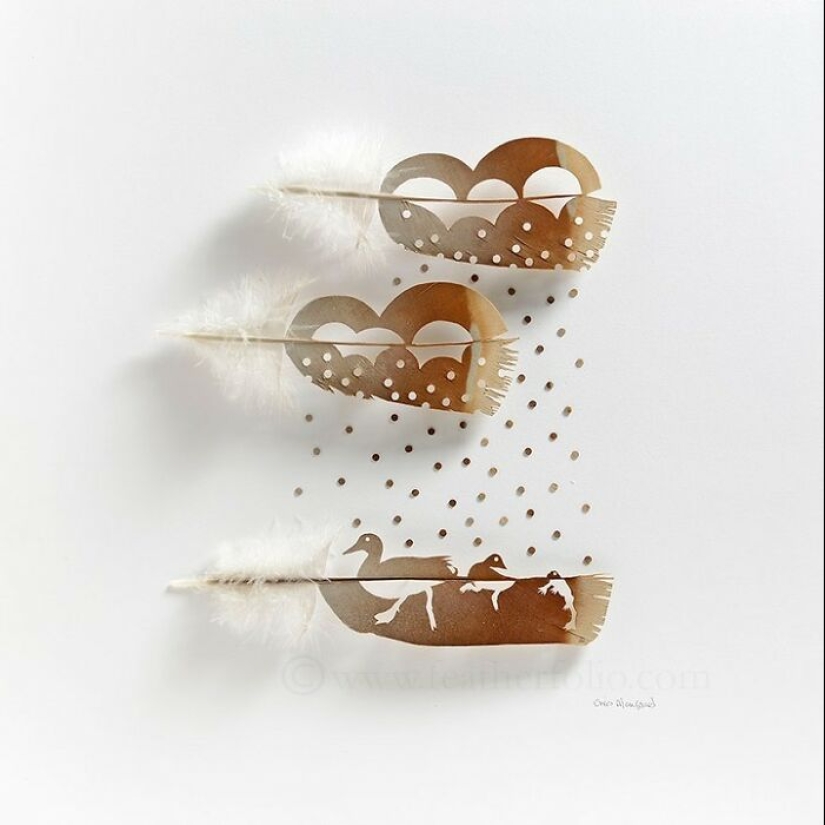 15 Delicate Artworks Made From Hard-Carving Feathers By This Artist 15 Delicate Artworks Made From Hard-Carving Feathers By This Artist