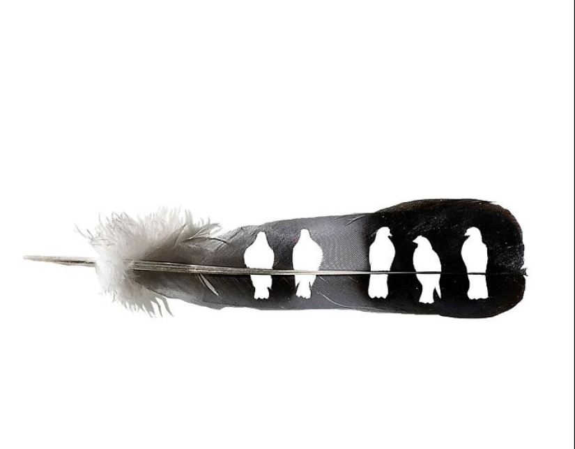 15 Delicate Artworks Made From Hard-Carving Feathers By This Artist 15 Delicate Artworks Made From Hard-Carving Feathers By This Artist